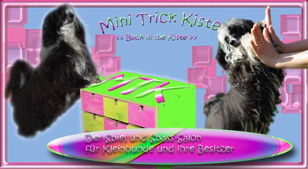mini trick kiste